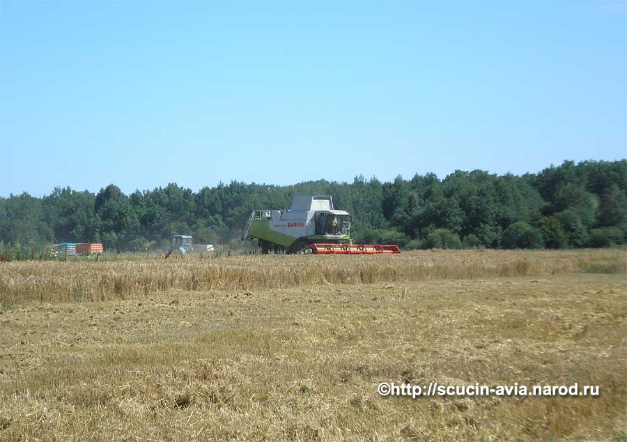 Уборка зерновых на бывшем военном аэродроме в Щучине