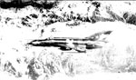 МиГ-21Р 263 ораэ