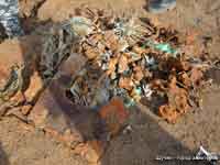 Раскопки на месте падения самолета Пе-2Р 10-го орап у деревни Макаренцы
